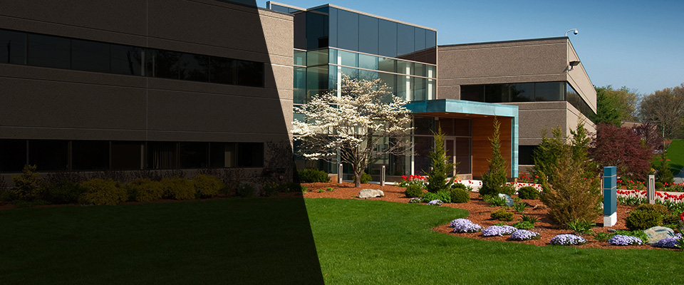 Chapmanville Landscapers