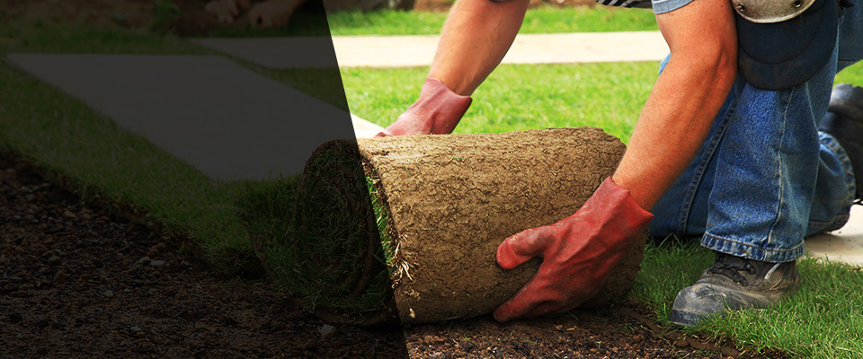 Chapmanville Landscapers